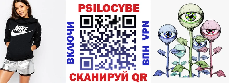 дарнет шоп  Свирск  Псилоцибиновые грибы Cubensis 